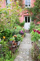 Colourful front garden with mixed potted Dahlias, Salvia and Erigeron Garden. 
