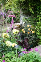 Cottage style planting of Dahlia 'David Howard', foxgloves, geraniums and rosa