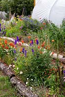 Allotment with beds for cut flowers