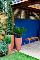 Containers include Cycas revoluta and Cupressus sempervirens 'Pyramidalis'