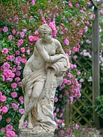 Formal classic sculpture with backdrop of climbing roses. 