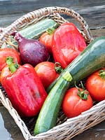 Basket of vegetables, Tomatoes, Courgettes, Sweet peppers and red onions.
