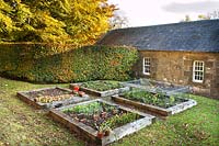 Raised beds for fruit and vegetables on the lawn near back door to the house