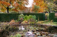 View over pond to beds, formal Taxus - Yew - hedge and Fagus sylvatica - Beech - trees