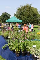Plant stall and visitors. Rare Plant Fair in the grounds of Llanover Garden, Monmouthshire, Wales
