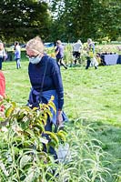 Woman customer at plant stall wearing face mask during covid 19 pandemic. Rare Plant Fair in the grounds of Llanover Garden, Monmouthshire, Wales