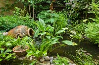 View of small back garden with wildlife pond. 