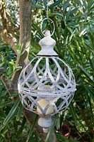 Galvanized candle holder hanging from an Olea europaea - Olive - tree