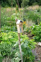 Insect hotel on a stick, in an allotment 