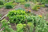 Plot for growing vegetables, fruit and flowers 