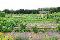 Plot with vegetables, fruit and flowers 