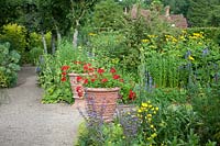 View of garden showing path, borders with blue and yellow flowers with pair of ornate terracotta pots with contrasting red flowers 