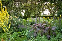 Dramatic summer displays of Ricinus communis, Verbascum, Inula, Rosa, Veronica and Campanula in The Flower Garden, Loseley Park, Surrey, UK. 