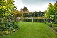 View of formal garden with pleached lime trees and clipped Yew and Box hedges. 
