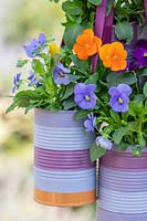 Decorated tin cans planted with Viola, hanging from trellis