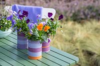 Painted tin cans planted with Viola as decoration on table