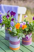Painted tin cans planted with Viola as decoration on table