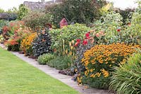The Warm Border at Bourton House, Moreton-in-Marsh in August including Helenium 'Sahin's Early Flowerer', Dahlia 'Bishop of Llandaff', Kniphofia 'Mango Popsical' and tiger lilies.