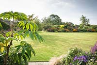 View across the main lawn towards colour-themed borders, in the foreground large-leaved Tetrapanax papyrifer 'Rex' 