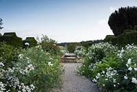 The White Garden at Bourton House with borders of herbaceous perennials and annuals including Romneya coulteri, Argyranthemum 'Starlight', roses and Galega officinalis 'Alba'.