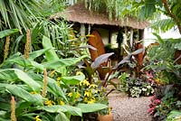 Lush foliage plants frame the Jungle Hut including Hedychiums, Tetrapanax papyrifer 'Rex' and Ensete ventricosum 'Maurelii' 