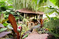 Jungle Hut at Oak Barn framed by planting of Paulownia tomentosa, Ensete ventricosum 'Maurelii' and Cannas 