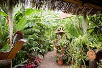 A gravel path framed by plants including impatiens, begonias, Tradescantia 'Blushing Bride', Musa basjoo, Tetrapanax papyrifer 'Rex' and bromeliads leading to the front door Oak Barn, viewed from the Jungle Hut.