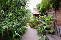 Big, bold foliage plants including cannas, cordylines, fastigiate yew and trachycarpus dominate the garden. In pots are smaller specimens including eucomis, agapanthus and aeoniums.