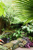 Colourful foliage begonias beside a pond with hedychiums, tree ferns and bamboos