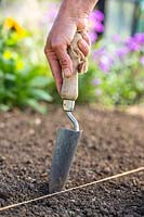 Using a trowel to create a furrow in a seedbed for sowing seed