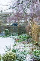 Walled town garden with snow, bare branches of trees with other houses beyond 