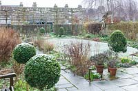 Walled town garden with snow, view over topiary, bed and lawn to line of pleached Acer campestre - Field Maple - screening buildings beyond
