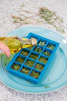Pouring olive oil on chopped leaves of Salvia rosmarinus syn. Rosmarinus officinalis - Rosemary - in an ice cube tray
