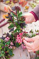 Woman creating bundles of Sorbus 'Pink Pagoda' - Rowan - berries, Viburnum opulus - Guleder Rose, Hebe and Physocarpus opulifolius 'Diabolo'