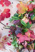 Close up of wreath featuring Sorbus 'Pink Pagoda' - Rowan - berries, Crataegus monogyna - Hawthorn, Viburnum opulus - Guleder Rose, Hebe and Physocarpus opulifolius 'Diabolo'