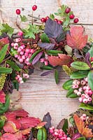 Close up of a wreath featuring Sorbus 'Pink Pagoda' - Rowan - berries, Crataegus monogyna - Hawthorn, Viburnum opulus - Guleder Rose, Hebe and Physocarpus opulifolius 'Diabolo'