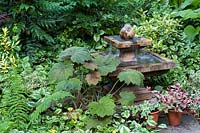 Stone water feature sits amidst a foliage planting including: Euonymus japonicus 'Kathy', Lamium, Mahonia, large-leafed Begonia and Petasites hybridus with Fuchsia 'Tom West' and Hedera - Ivy - in pots