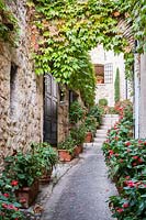 Narrow street, archway, and stone steps between the medieval buildings of Saint Paul de Vence, in the hills behind the city of Nice. The alleyway is lined with scarlet begonias, while grape-vines grow over the archway.