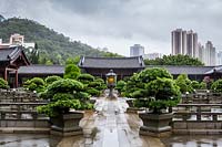 View across the Lotus Pond courtyard, to the covered walkway around the edge. In the background are the hills and buildings, and in the foreground, clipped Buddhist pines, Podocarpus macrophyllus and the ornamental stone railings surrounding the ponds.