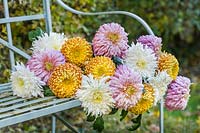 Chrysanthemums Clarksdale, Harry Tolley and Millie Matthew laid on a bench