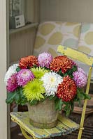Chrysanthemums Sheer Red, Tula Green and Tula Purple in a container pot