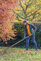 Woman raking leaves with a leaf rake