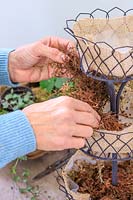 Woman adding moss to each tier of plant stand to help retain moisture