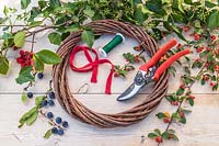Material and tools ready for making an Autumnal wreath including berries of Prunus domestica subsp. insititia var. nigra - Bullace, Hedera helix - Ivy, Crataegus persimilis 'Prunifolia Splendens' - Hawthorn, Cotoneaster franchetii
