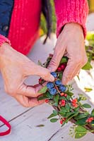 Woman adding Bullace - Prunus domestica subsp. insititia var. nigra berries to wreath 