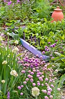 Mixed vegetables in a raised bed - Beetroot, Onion, Radish, Swiss Chard, in foreground flowers of Chive and Welsh Onion