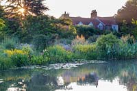 View of the house from the far side of the pond, with the sun rising behind it. Featuring yellow loosestrife Lysimachia punctata, lily Zantedeschia aethiopica and Thalia dealbata with mixed border behind.