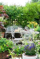 Small garden with pots and decorative white furniture surrounded by trellis with climbers for privacy