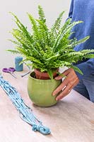 Woman planting Nephrolepis 'Green Lady' in green glazed pot