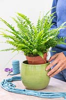 Woman planting Nephrolepis 'Green Lady' in green glazed pot